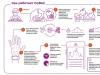 Фитнес-браслет считающий калории – обзор моделей, какой выбрать?